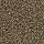 Aladdin Carpet: Authentic Notion Rich Copper